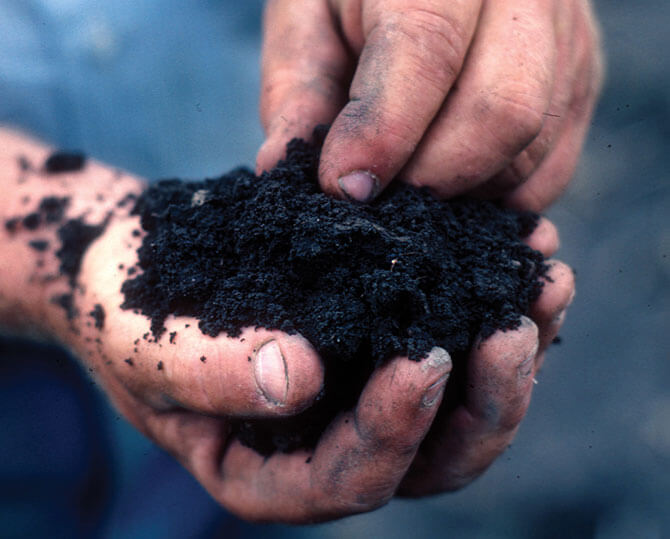 Evaluate the Quality of Soil